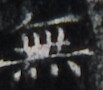 http://hng.chise.org/images/iiif/zinbun/takuhon/kaisei/H1002.tif/5260,4489,103,90/full/0/default.jpg