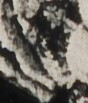 http://hng.chise.org/images/iiif/zinbun/takuhon/kaisei/H1002.tif/5354,3224,88,103/full/0/default.jpg