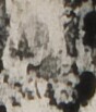 http://hng.chise.org/images/iiif/zinbun/takuhon/kaisei/H1002.tif/5357,3111,88,103/full/0/default.jpg