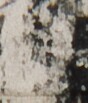 http://hng.chise.org/images/iiif/zinbun/takuhon/kaisei/H1002.tif/5360,3009,88,103/full/0/default.jpg