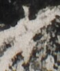 http://hng.chise.org/images/iiif/zinbun/takuhon/kaisei/H1002.tif/5375,2922,88,103/full/0/default.jpg
