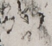 http://hng.chise.org/images/iiif/zinbun/takuhon/kaisei/H1002.tif/5394,5583,104,93/full/0/default.jpg