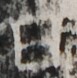 http://hng.chise.org/images/iiif/zinbun/takuhon/kaisei/H1002.tif/5502,2716,77,78/full/0/default.jpg
