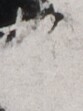 http://hng.chise.org/images/iiif/zinbun/takuhon/kaisei/H1002.tif/5503,4035,83,111/full/0/default.jpg