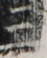 http://hng.chise.org/images/iiif/zinbun/takuhon/kaisei/H1002.tif/5504,2822,69,85/full/0/default.jpg