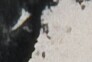 http://hng.chise.org/images/iiif/zinbun/takuhon/kaisei/H1002.tif/5513,6487,92,62/full/0/default.jpg