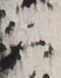 http://hng.chise.org/images/iiif/zinbun/takuhon/kaisei/H1002.tif/5530,2604,61,78/full/0/default.jpg