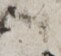 http://hng.chise.org/images/iiif/zinbun/takuhon/kaisei/H1002.tif/5533,7044,61,56/full/0/default.jpg