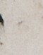 http://hng.chise.org/images/iiif/zinbun/takuhon/kaisei/H1002.tif/5540,2385,61,78/full/0/default.jpg