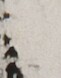http://hng.chise.org/images/iiif/zinbun/takuhon/kaisei/H1002.tif/5543,2500,61,78/full/0/default.jpg